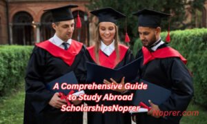 A Comprehensive Guide to Study Abroad Scholarships