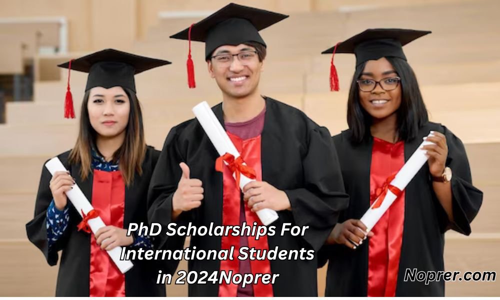 PhD Scholarships For International Students in 2024